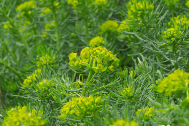 Similar image 2844507