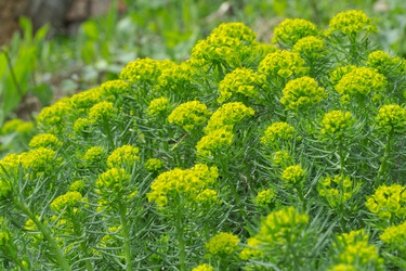 Similar image 2844508