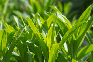 Similar image 2844509