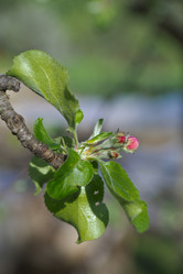 Similar image 2844510