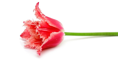 Similar image 2844598