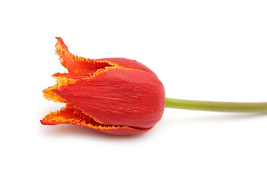 Similar image 2844601