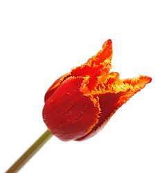 Similar image 2844602