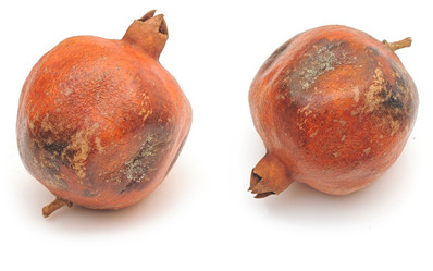 Similar image 2844603