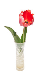 Similar image 2844604