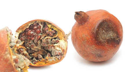 Similar image 2844605