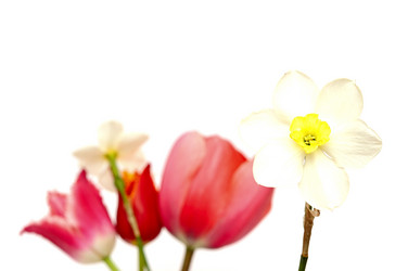 Similar image 2844606