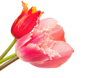 Similar image 2844607