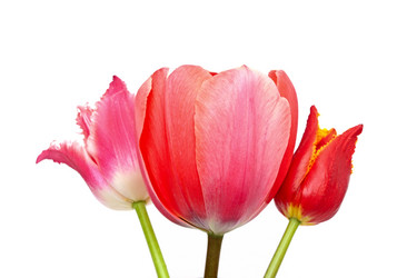 Similar image 2844608