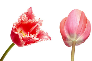 Similar image 2844609