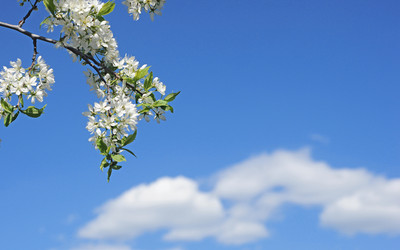 Similar image 2844613