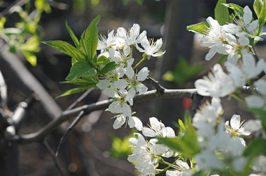 Similar image 2844614