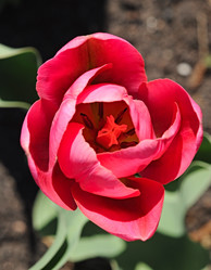 Similar image 2844615