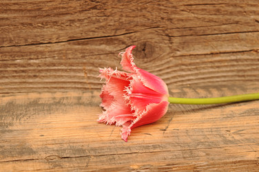 Similar image 2844622