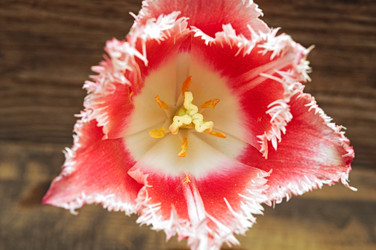 Similar image 2844627