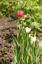 Similar image 2844636