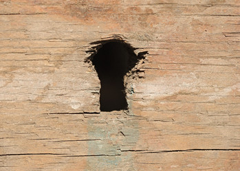 Similar image 2844638