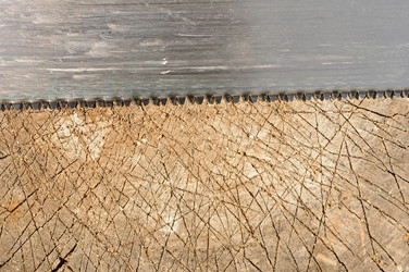 Similar image 2844639