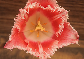 Similar image 2844641