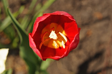 Similar image 2844643