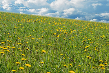 Similar image 2844645