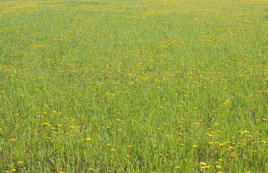 Similar image 2844646