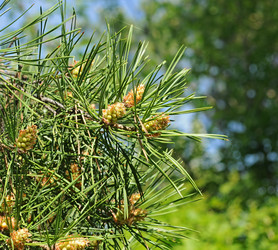 Similar image 2844647