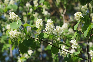 Similar image 2844648