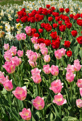 Similar image 2844673