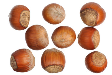 Similar image 2844684