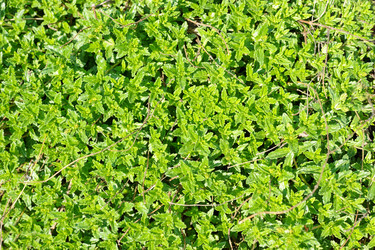 Similar image 2844697