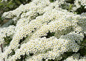 Similar image 2844701