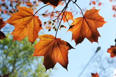 Similar image 2844702