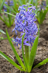 Similar image 2844703