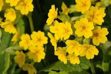 Similar image 2844724