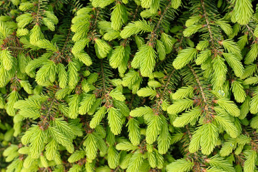 Similar image 2844728