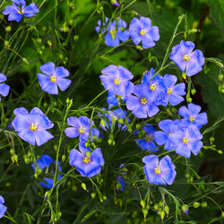 Similar image 2844838