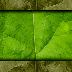 Similar image 2844859