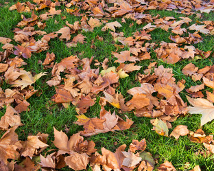 Similar image 2844996