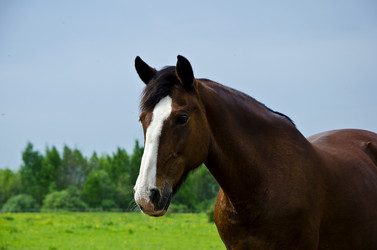 Similar image 2845650