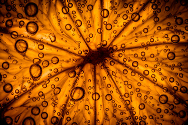 Similar image 2845818