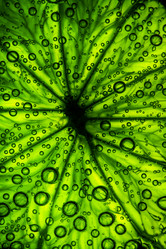 Similar image 2845822