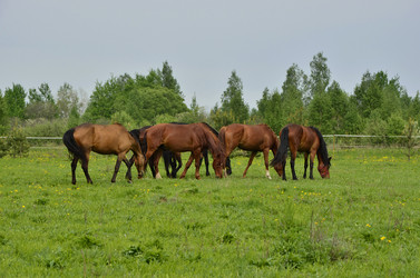 Similar image 2845831