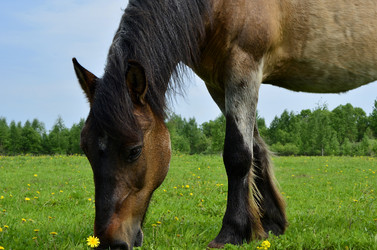 Similar image 2845834