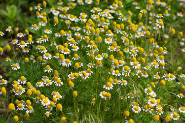 Similar image 2845895