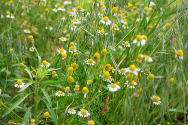 Similar image 2845902