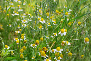 Similar image 2845907