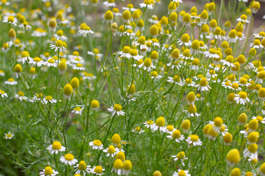 Similar image 2845953