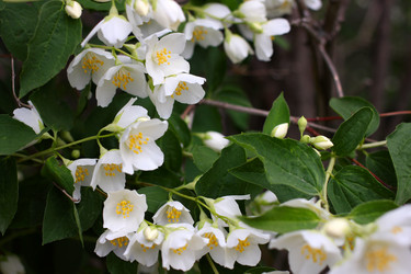 Similar image 2846033