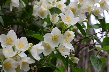 Similar image 2846034